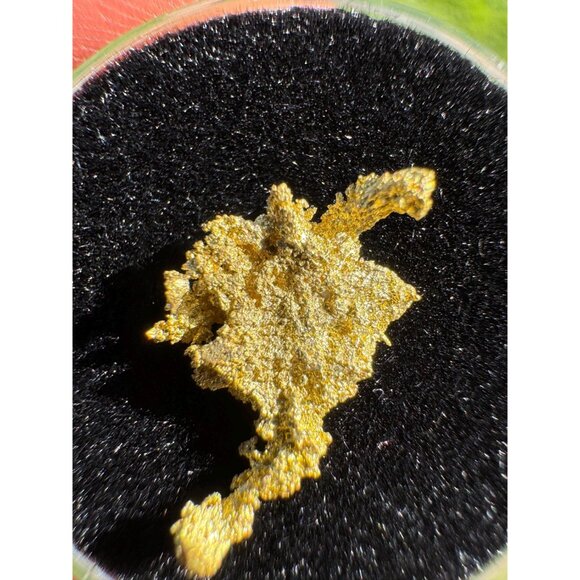Alaska Shape Gold Crystal - 0.87 grams - California Gold Native Crystal - Picture 6 of 6